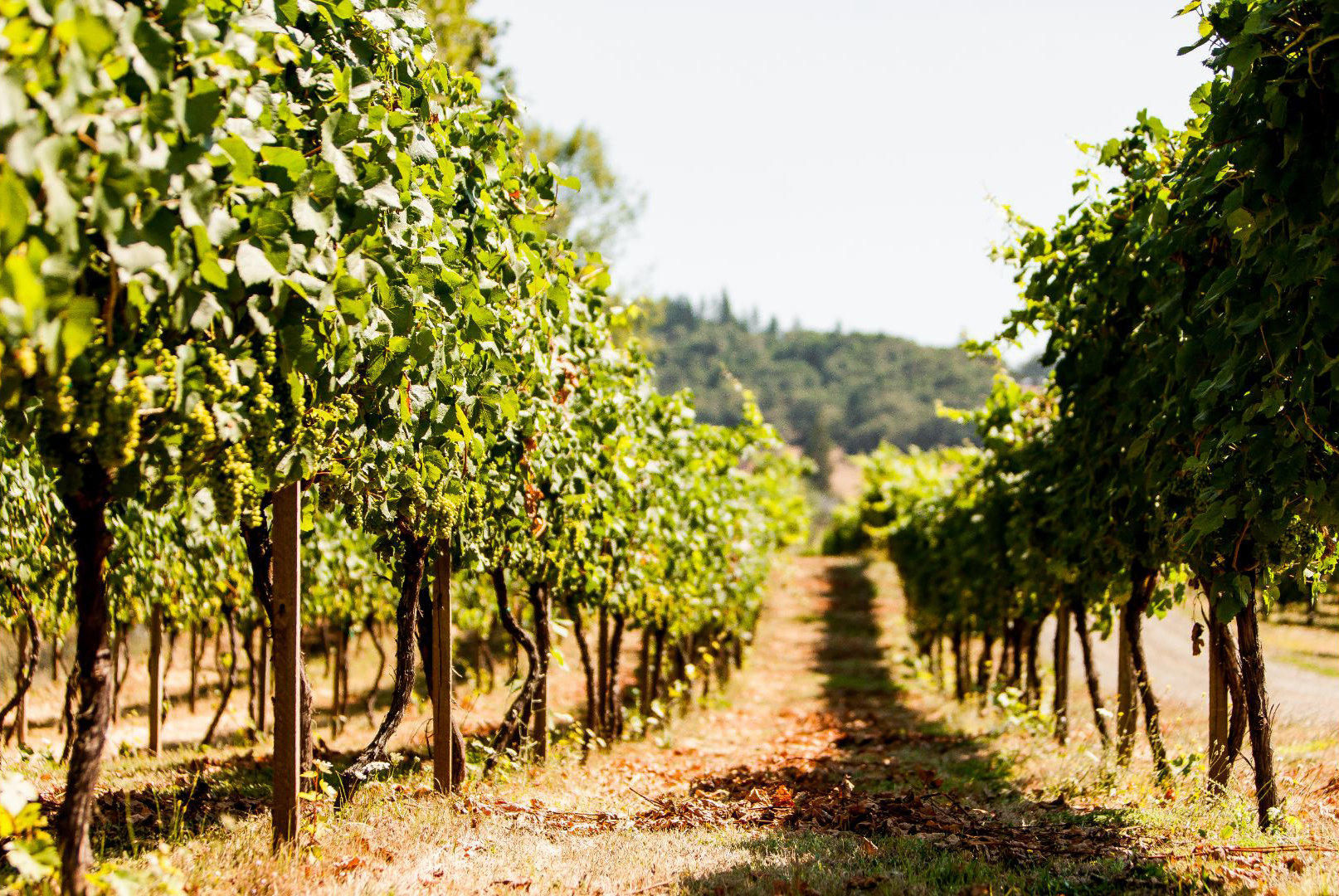 Autres régions de France
